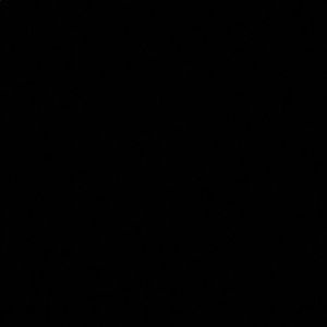 Meet your Posher, Hazel